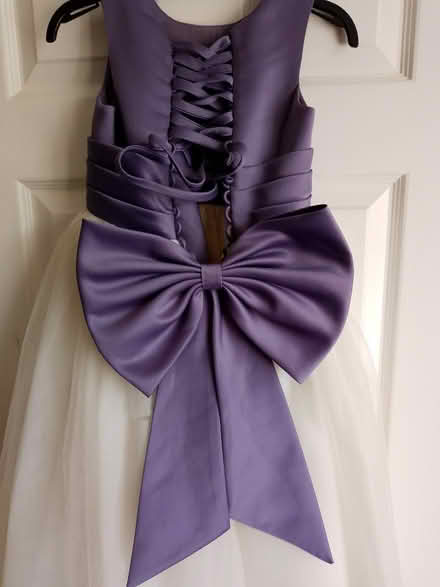 Photo of free Small princess costume/bridesmaid dress (West Haddon NN6) #1
