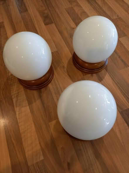 Photo of free Globe Light Fitting (Bransford WR6) #1