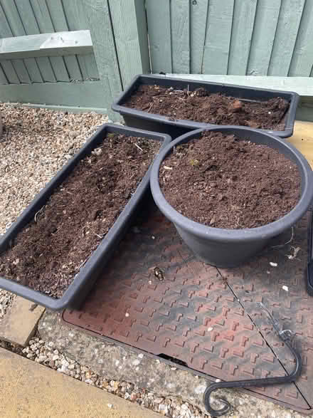 Photo of free 3 plastic pots-with or without soil (Katesgrove, Reading, RG2) #3