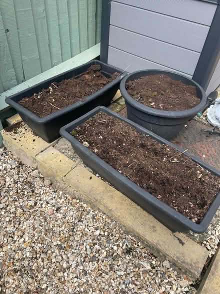 Photo of free 3 plastic pots-with or without soil (Katesgrove, Reading, RG2) #2