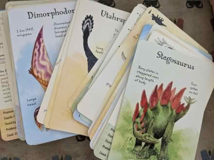 Photo of free Dinosaur fact cards (Bathampton) #1