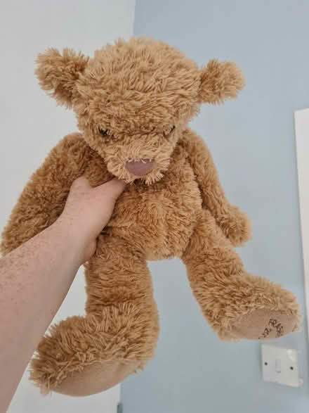 Photo of free Teddy (Forest Gate) #2