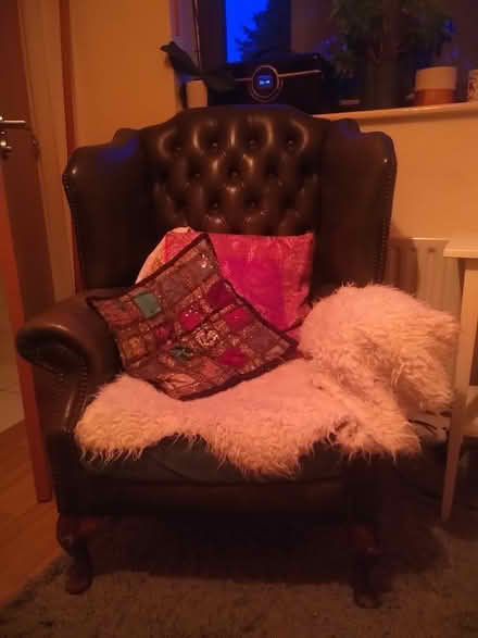 Photo of free High back wing chair - petrol green (N7 Holloway Road) #4