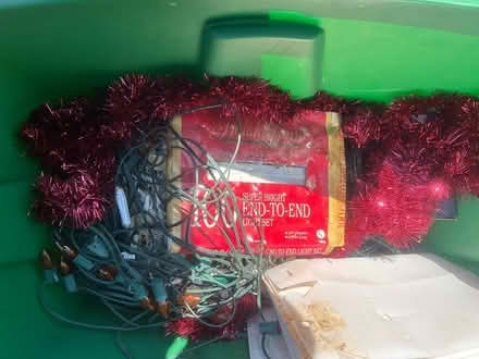 Photo of free Christmas Lights (Ruckersville (off Gilbert)) #1