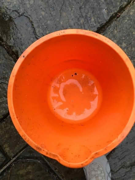 Photo of free Bucket (Longlevens GL2) #3