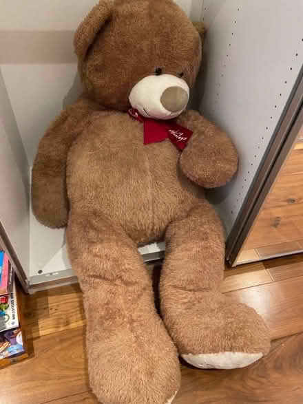 Photo of free 130cm hamleys teddy bear (Belsize Park NW3) #1
