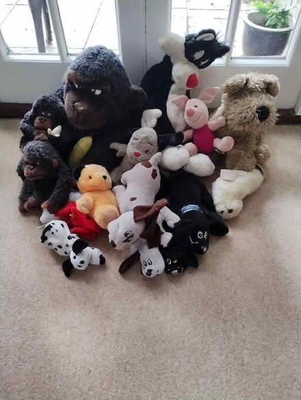 Photo of free Selection of stuffed toys (Orwell SG8) #1