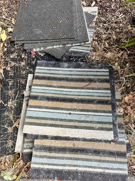Photo of free assortment of Flor tiles (Central San Rafael) #1