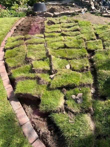 Photo of free Square cut turf (Cardrona EH45) #1
