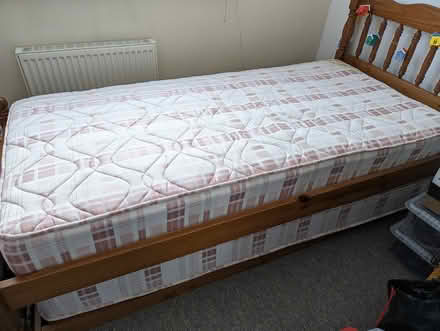 Photo of free Single bed plus under bed (Exeter EX4) #1