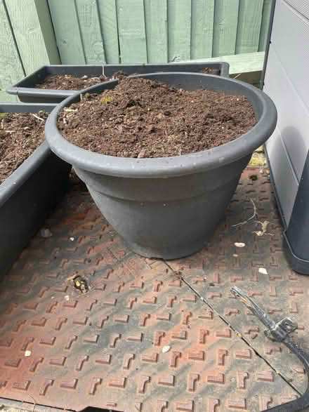 Photo of free 3 plastic pots-with or without soil (Katesgrove, Reading, RG2) #1