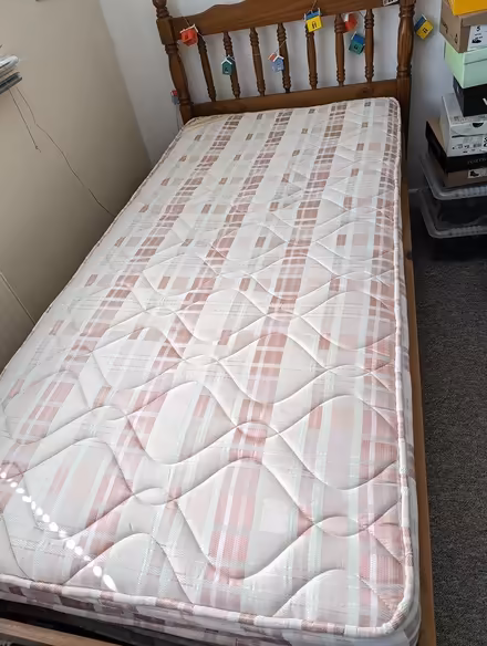 Photo of free Single bed plus under bed (Exeter EX4) #2