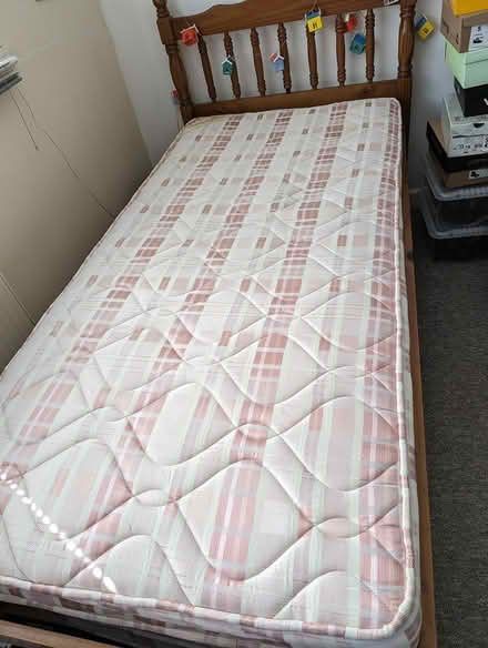 Photo of free Single bed plus under bed (Exeter EX4) #2