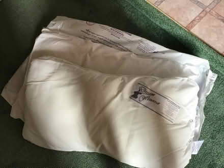 Photo of free Pillows (Elmdon Heath B91) #1