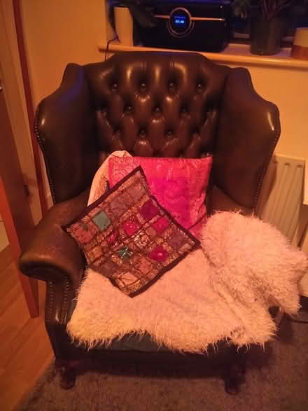 Photo of free High back wing chair - petrol green (N7 Holloway Road) #3