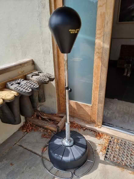 Photo of free Punch ball (St John's TN13) #1