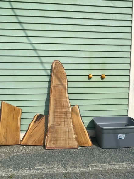 Photo of free Live Edge Pieces - Oak (Portugal Cove) #1