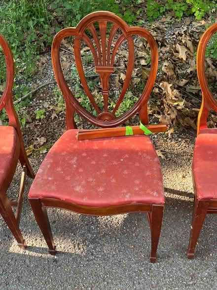Photo of free Four once beautiful chairs (Brookline) #2