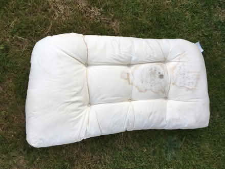 Photo of free Old Cushion (Weymouth (DT3)) #1