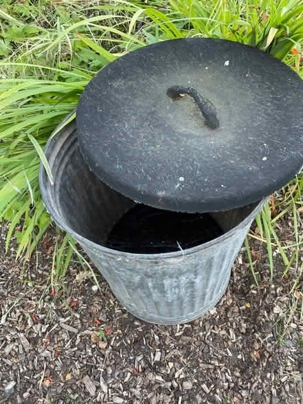 Photo of free Galvanised bin with rubber lid (EH41) #2