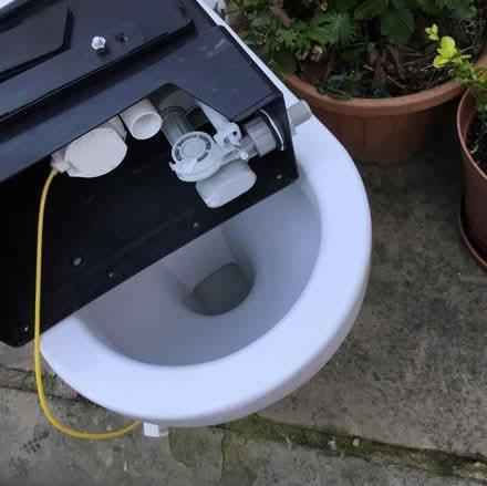 Photo of free Toilet and cistern (Stretton DE55) #3