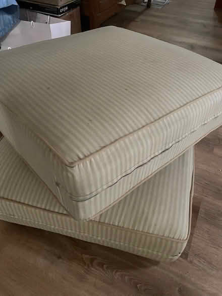 Photo of free Foam cushions (San Antonio/Wyoming) #1