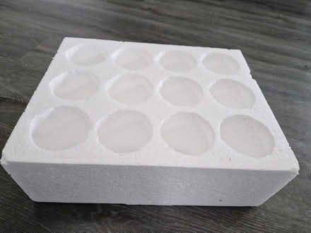 Photo of free Polystyrene block ? for seedlings (Ugley CM22) #1
