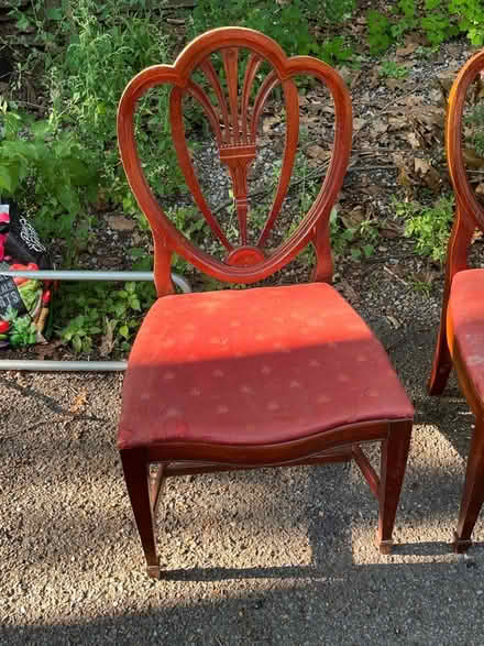 Photo of free Four once beautiful chairs (Brookline) #1