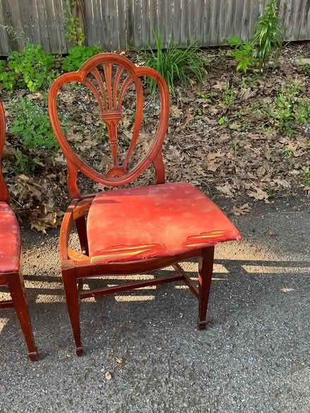 Photo of free Four once beautiful chairs (Brookline) #4