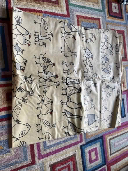 Photo of free Pvc tablecloth with lovely bird image (Jordanhill G13) #1
