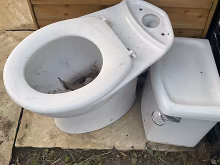 Photo of free Disabled toilet (Bathampton) #1