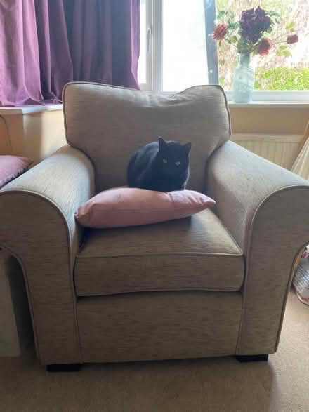 Photo of free Armchair (Lymm WA13) #1