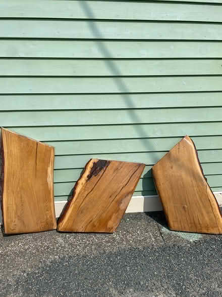 Photo of free Live Edge Pieces - Oak (Portugal Cove) #2