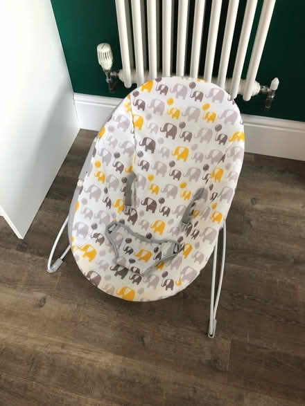 Photo of free Baby Bouncer (CV5) #1