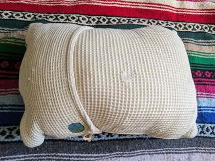 Photo of free Travel pillow (Allston) #1