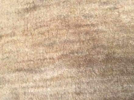 Photo of free Pottery Barn rug (Pill Hill Lake Merritt) #1
