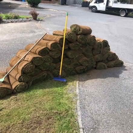 Photo of free Garden Turf (Lodge Moor S10) #1