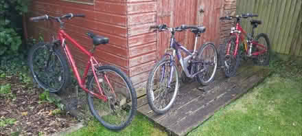 Photo of free Bicycles (Polegate) #1