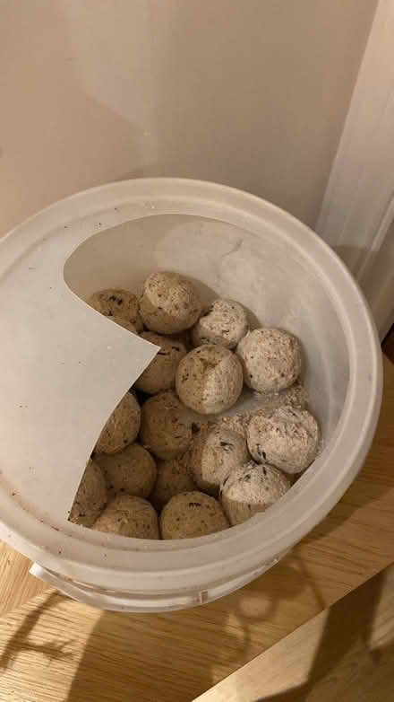 Photo of free Big box of bird food balls (Stratford, E15) #1