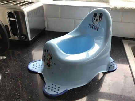 Photo of free Potty (Parson's Heath CO4) #1