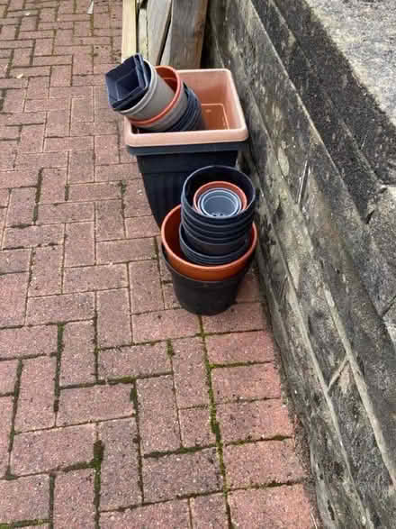 Photo of free Plastic plant, pots and containers (Torrisholme LA4) #1