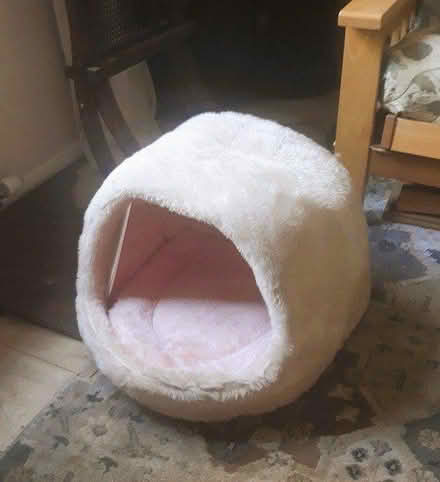 Photo of free Large Cat Igloo (East Hoathly BN8) #1
