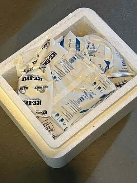 Photo of free ice packs (Riverdale Park) #1