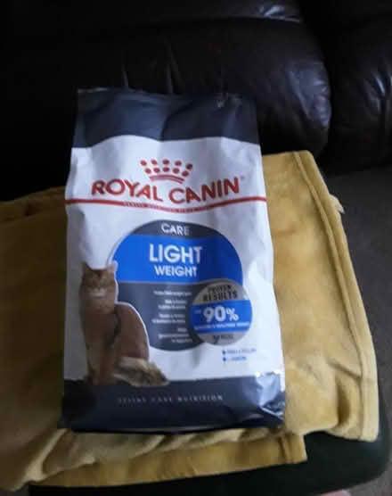 Photo of free Cat Food (Gidea Park RM2) #1