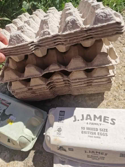 Photo of free Many empty eggs boxes (Yarnton OX5) #2