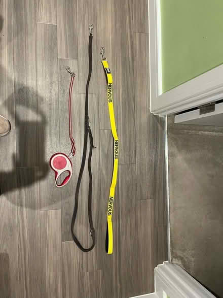 Photo of free Dog leads (South Acton W3) #1