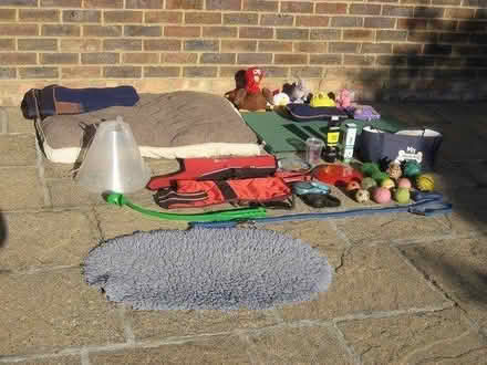 Photo of free Dog Equipment and Accessories (New Malden, KT3) #1