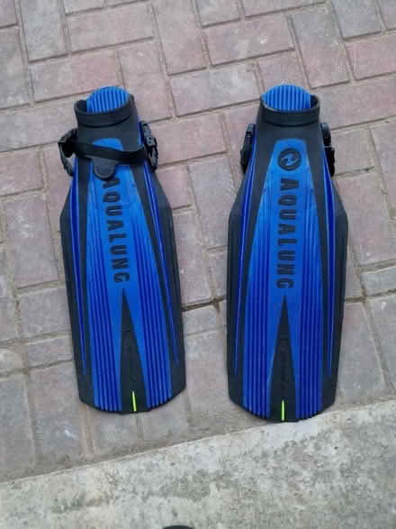 Photo of free Aqualung technisub flippers/fins (Roslin, Midlothian EH25) #1