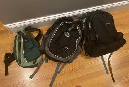Photo of free 3 Backpacks (Danehy Park/Cambridge) (North Cambridge) #1