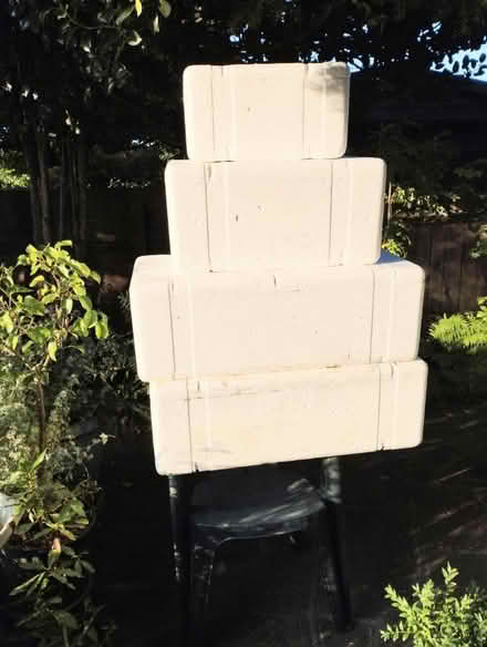 Photo of free 4 very large insulated food boxes (Thorpe Bay SS1) #1